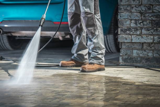 Best Soft Washing for Delicate Surfaces in Hutchison, VA